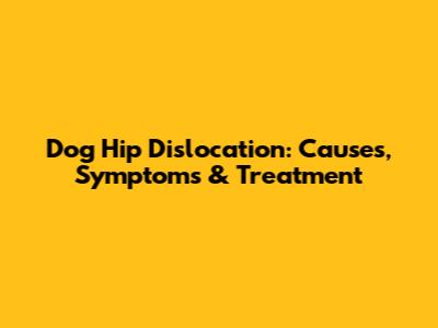 Dog Hip Dislocation: Causes, Symptoms & Treatment