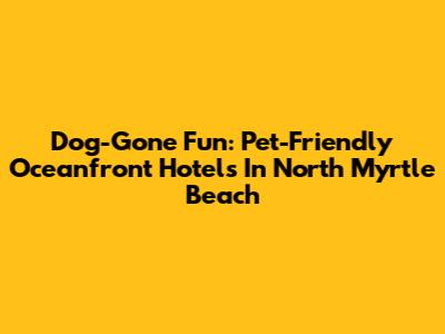 Dog-Gone Fun: Pet-Friendly Oceanfront Hotels In North Myrtle Beach