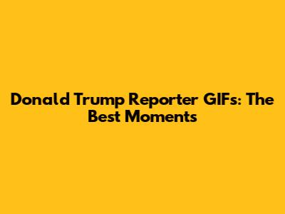 Donald Trump Reporter GIFs: The Best Moments