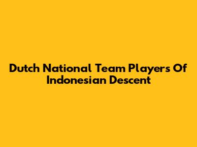 Dutch National Team Players Of Indonesian Descent