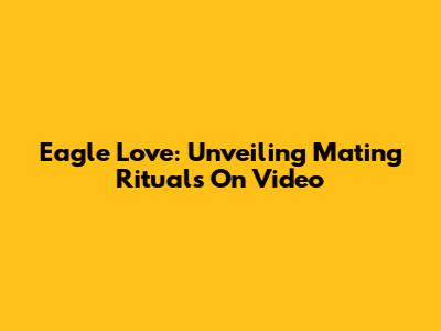 Eagle Love: Unveiling Mating Rituals On Video