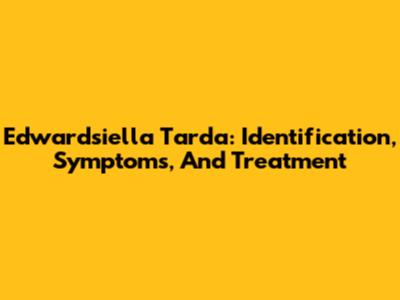 Edwardsiella Tarda: Identification, Symptoms, And Treatment