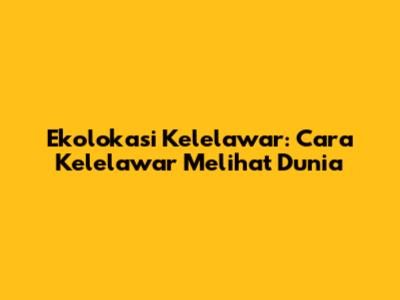 Ekolokasi Kelelawar: Cara Kelelawar Melihat Dunia