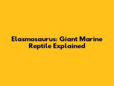 Elasmosaurus: Giant Marine Reptile Explained