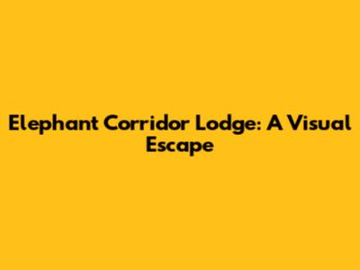 Elephant Corridor Lodge: A Visual Escape