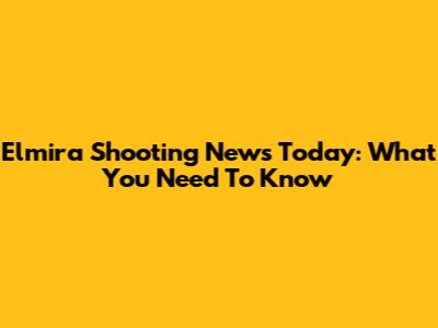 Elmira Shooting News Today: What You Need To Know