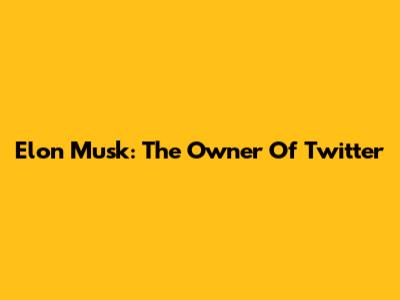 Elon Musk: The Owner Of Twitter