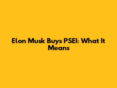 Elon Musk Buys PSEI: What It Means
