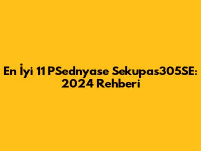 En İyi 11 PSednyase Sekupas305SE: 2024 Rehberi