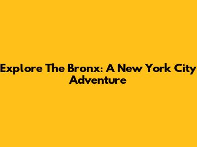 Explore The Bronx: A New York City Adventure