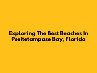 Exploring The Best Beaches In Pseitetampase Bay, Florida