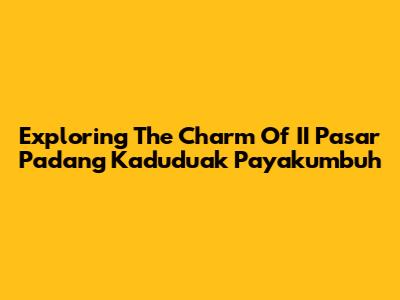 Exploring The Charm Of II Pasar Padang Kaduduak Payakumbuh