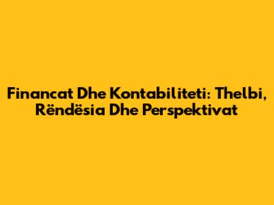 Financat Dhe Kontabiliteti: Thelbi, Rëndësia Dhe Perspektivat