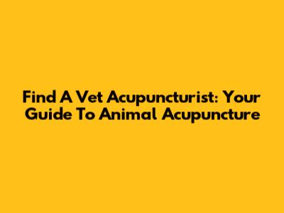 Find A Vet Acupuncturist: Your Guide To Animal Acupuncture