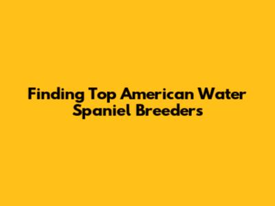 Finding Top American Water Spaniel Breeders