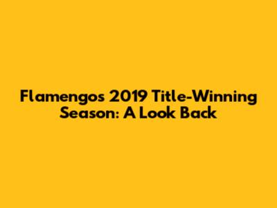 Flamengo's 2019 Title-Winning Season: A Look Back