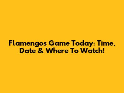 Flamengo's Game Today: Time, Date & Where To Watch!