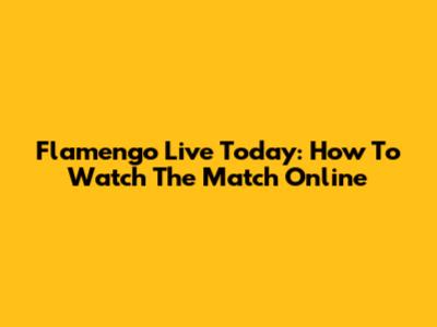 Flamengo Live Today: How To Watch The Match Online