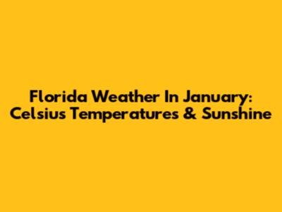 Florida Weather In January: Celsius Temperatures & Sunshine