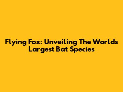 Flying Fox: Unveiling The World's Largest Bat Species