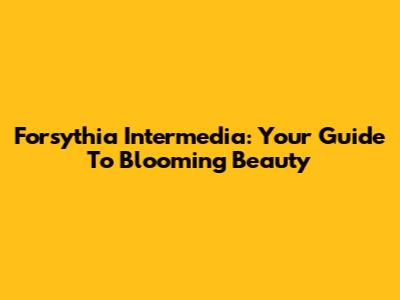 Forsythia Intermedia: Your Guide To Blooming Beauty