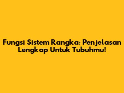 Fungsi Sistem Rangka: Penjelasan Lengkap Untuk Tubuhmu!