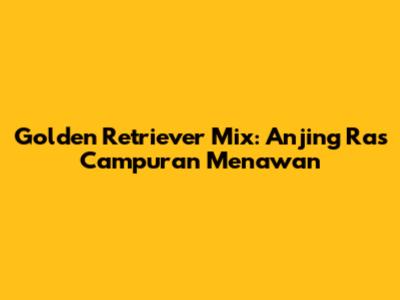 Golden Retriever Mix: Anjing Ras Campuran Menawan