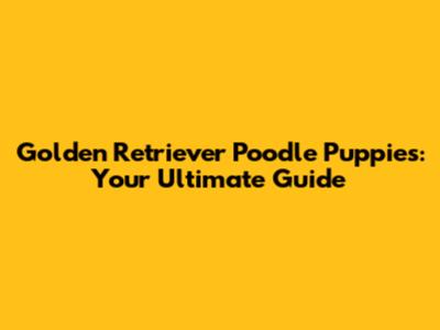 Golden Retriever Poodle Puppies: Your Ultimate Guide