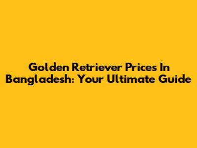 Golden Retriever Prices In Bangladesh: Your Ultimate Guide