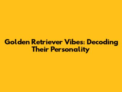 Golden Retriever Vibes: Decoding Their Personality