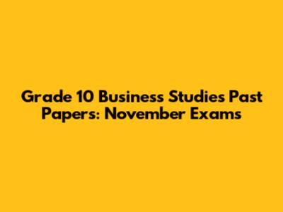 Grade 10 Business Studies Past Papers: November Exams