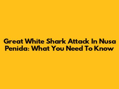 Great White Shark Attack In Nusa Penida: What You Need To Know