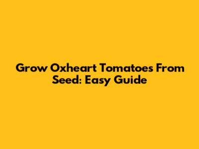 Grow Oxheart Tomatoes From Seed: Easy Guide