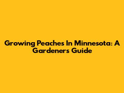 Growing Peaches In Minnesota: A Gardener's Guide