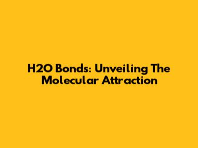 H2O Bonds: Unveiling The Molecular Attraction