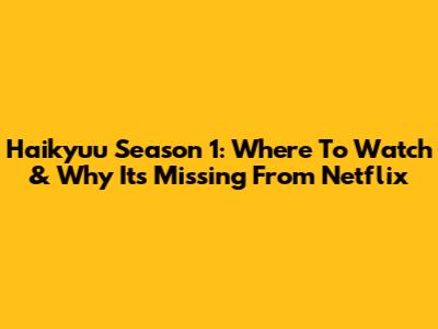 Haikyuu Season 1: Where To Watch & Why It's Missing From Netflix