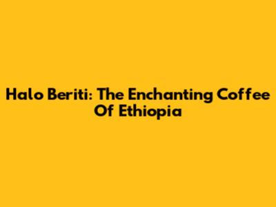 Halo Beriti: The Enchanting Coffee Of Ethiopia