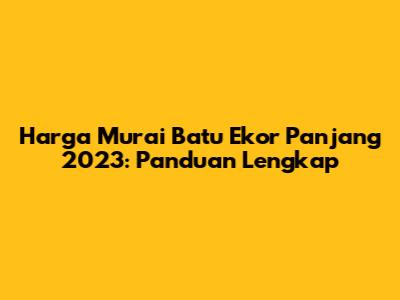 Harga Murai Batu Ekor Panjang 2023: Panduan Lengkap