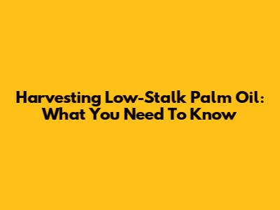 Harvesting Low-Stalk Palm Oil: What You Need To Know