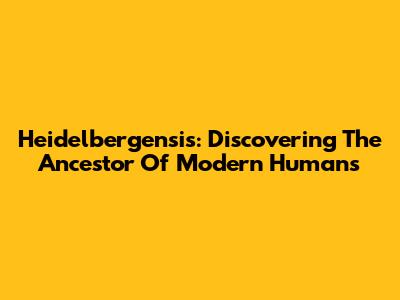 Heidelbergensis: Discovering The Ancestor Of Modern Humans