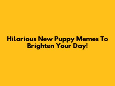 Hilarious New Puppy Memes To Brighten Your Day!