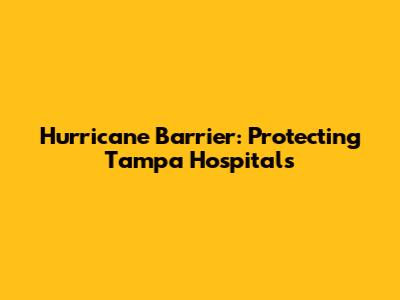 Hurricane Barrier: Protecting Tampa Hospitals