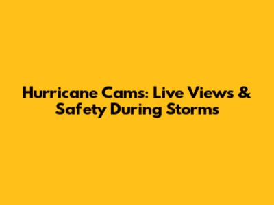 Hurricane Cams: Live Views & Safety During Storms