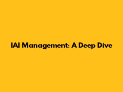 IAI Management: A Deep Dive