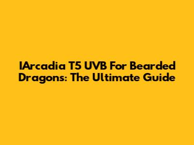 IArcadia T5 UVB For Bearded Dragons: The Ultimate Guide