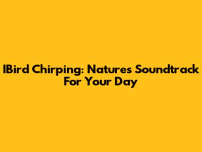 IBird Chirping: Nature's Soundtrack For Your Day