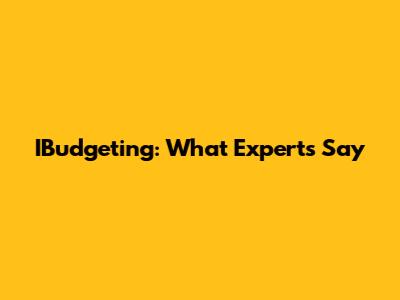 IBudgeting: What Experts Say