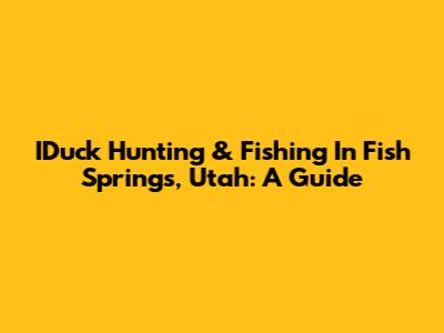IDuck Hunting & Fishing In Fish Springs, Utah: A Guide