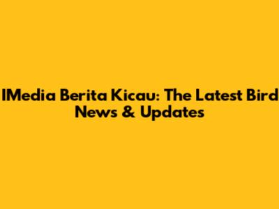 IMedia Berita Kicau: The Latest Bird News & Updates