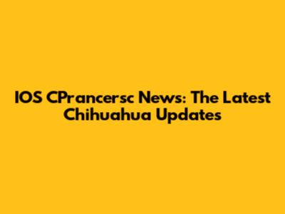 IOS CPrancersc News: The Latest Chihuahua Updates